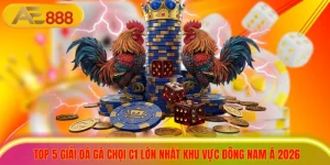 Top 5 Giải Đá Gà Chọi C1 Lớn Nhất Khu Vực Đông Nam Á 2026